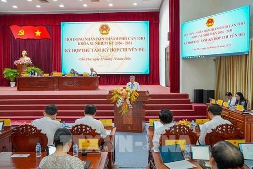 Cần Thơ thông qua Nghị quyết chuyển hơn 19 ha đất lúa sang làm nhà ở thương mại