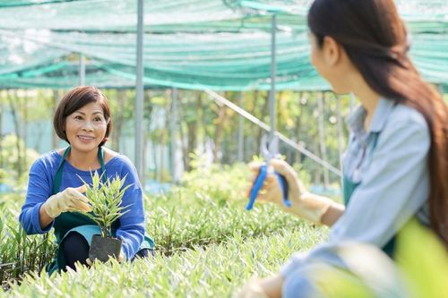 Khởi nghiệp xã hội là chìa khóa cho tương lai phát triển bền vững của Đông Nam Á
