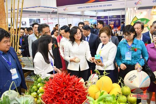 Thứ trưởng Phan Thị Thắng: Xuất khẩu xanh mở rộng thị trường quốc tế