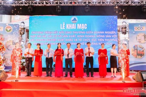 Đà Nẵng: Kết nối giao thương, tìm kiếm cơ hội xuất khẩu cho nông sản