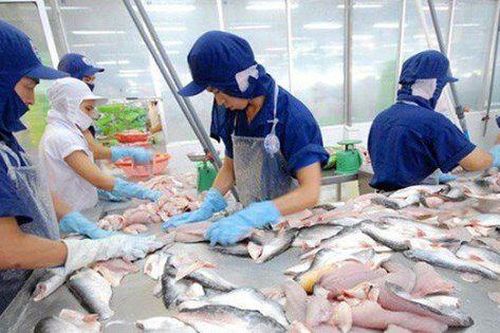 Chịu áp lực chi phí, lợi nhuận quý III của Nam Việt giảm 27% dù doanh thu tăng