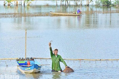 Nghề đẩy côn miền Tây