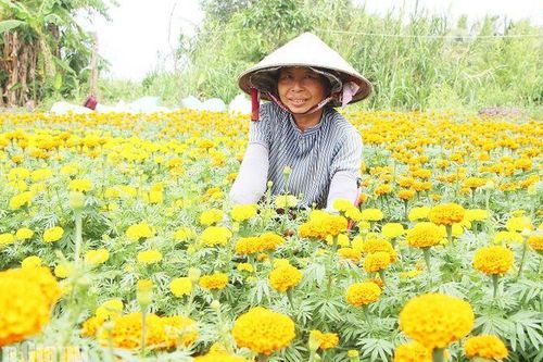 An Giang quyết tâm thực hiện thắng lợi các mục tiêu, kế hoạch đề ra