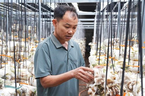 Bắc Ninh: Gần 95 tỷ đồng hỗ trợ nông dân sản xuất, kinh doanh
