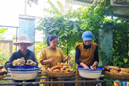 Vốn chính sách hỗ trợ phát triển kinh tế
