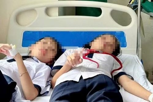 Ném đá vào tổ ong trong sân trường, 27 học sinh ở Quảng Trị phải nhập viện