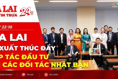 Điểm tin trưa: Gia Lai đề xuất thúc đẩy hợp tác đầu tư với các đối tác Nhật Bản²
