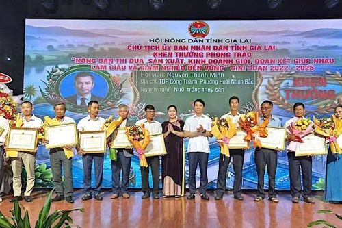 Gia Lai có 75.088 hộ sản xuất, kinh doanh giỏi
