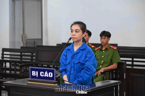 Tham ô tài sản, nữ giám đốc điều hành kiêm kế toán trưởng vào tù