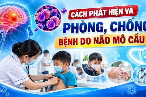 Cách phát hiện và phòng, chống bệnh do não mô cầu
