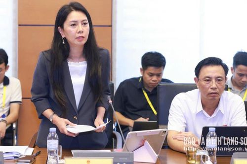 Đoàn đại biểu Quốc hội tỉnh góp ý vào một số dự án luật thuộc lĩnh vực đất đai