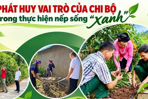 Phát huy vai trò của chi bộ trong thực hiện nếp sống “xanh”