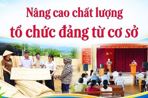 Nâng cao chất lượng tổ chức đảng từ cơ sở