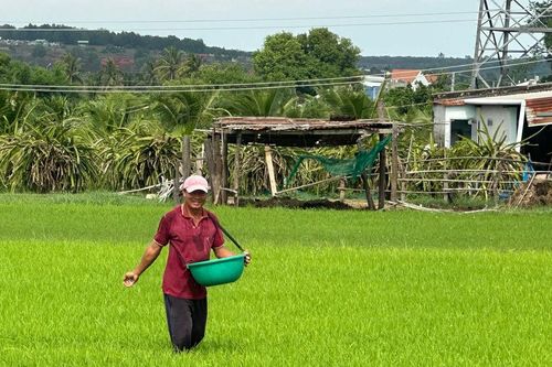 Bảo đảm nguồn nước sản xuất vụ mùa ở phía Đông