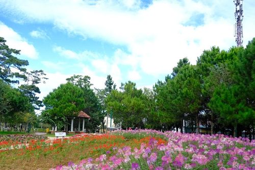 Đà Lạt tất bật điểm tô sắc hoa, sẵn sàng đón Festival