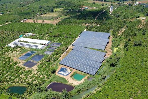 Đón nắng trên mái, mở lối cho sản xuất xanh