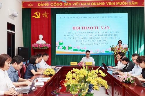 Hội thảo tư vấn tham gia ý kiến vào dự án Luật Bảo hiểm xã hội và Luật Bảo vệ môi trường