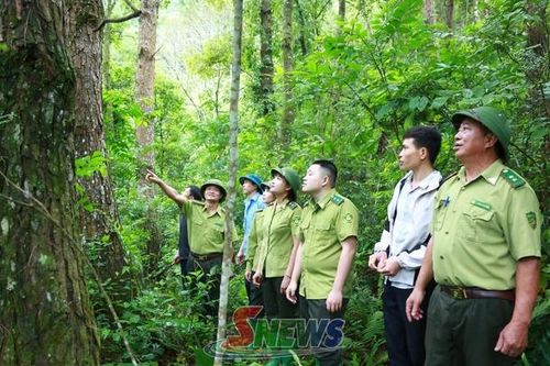 Sơn La xây dựng hồ sơ đề cử Khu dự trữ sinh quyển thế giới Mường La - Tà Xùa