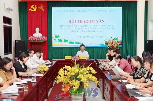 Hội thảo tư vấn tham gia ý kiến vào các dự án Luật