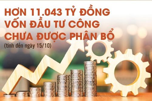 Infographics: Còn 11.043,2 tỷ đồng vốn đầu tư công chưa được phân bổ chi tiết