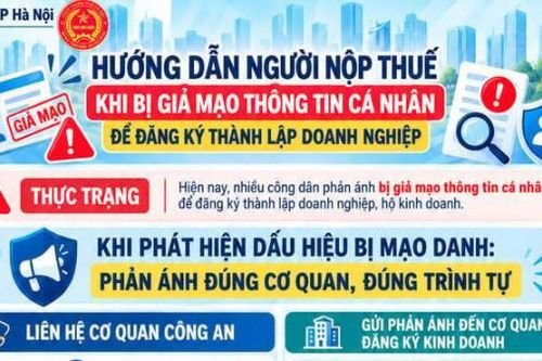 Thuế Hà Nội hướng dẫn người nộp thuế khi bị giả mạo thông tin cá nhân thành lập doanh nghiệp