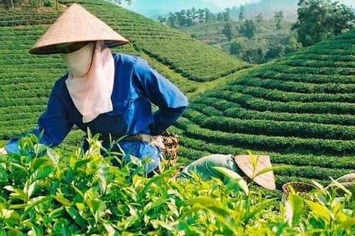 PMB lãi 22,7 tỷ đồng sau 9 tháng, dòng tiền kinh doanh âm gần 58 tỷ đồng