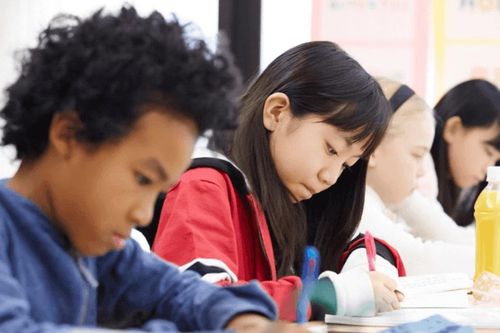 Nhật Bản mở rộng dạy tiếng Nhật, hỗ trợ người nước ngoài hòa nhập