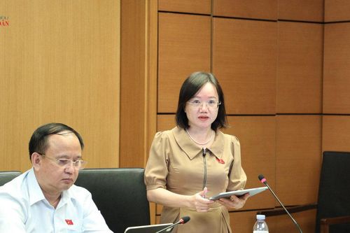 Bảo đảm cơ hội tiếp cận chỗ ở an toàn, ổn định cho người dân