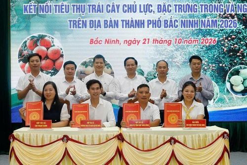 Đưa trái cây Bắc Ninh thoát cảnh tiêu thụ theo mùa vụ