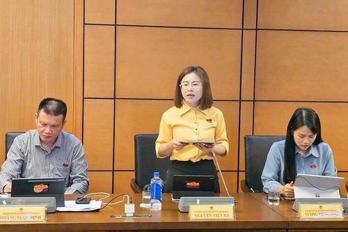 ĐBQH Nguyễn Việt Hà: Không để người mua nhà mất đi lớp bảo vệ từ bảo lãnh ngân hàng