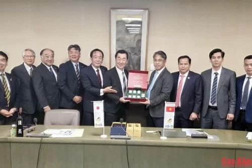 Kết nối kinh nghiệm Nhật Bản, phát huy giá trị di sản địa chất gắn với phát triển du lịch bền vững