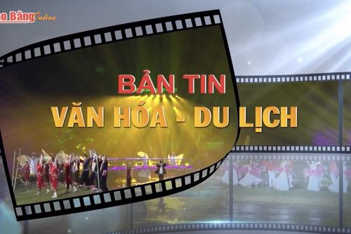 Bản tin Văn hoá - Du lịch số 49