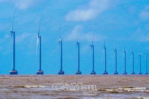 Cà Mau chấp thuận chủ trương đầu tư nhà máy điện gió gần 4.000 tỷ đồng