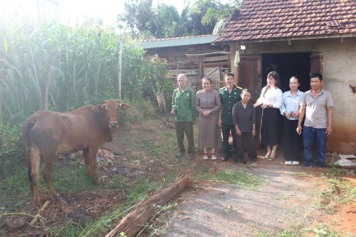 Xã Ea Nuôl (Đắk Lắk): Chuyển từ hỗ trợ sinh kế sang phát triển sản xuất theo chuỗi giá trị