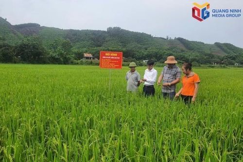 Quảng Ninh đẩy mạnh ứng dụng công nghệ cao, nâng giá trị nông sản .