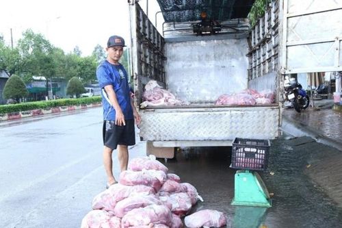 Đồng Nai: Triệt phá đường dây tiêu thụ 400 tấn heo bệnh, heo chết