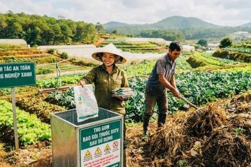 Thúc đẩy nông nghiệp xanh, tăng thu gom phụ phẩm và giảm sử dụng hóa chất