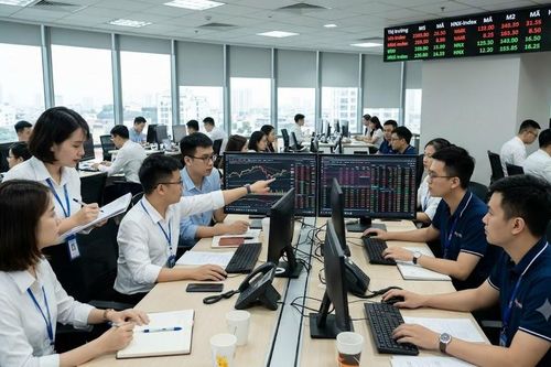 Dư nợ margin lập đỉnh 463.000 tỷ đồng: TCBS và VPBankS bứt phá, VPS rời "câu lạc bộ" doanh thu nghìn tỷ
