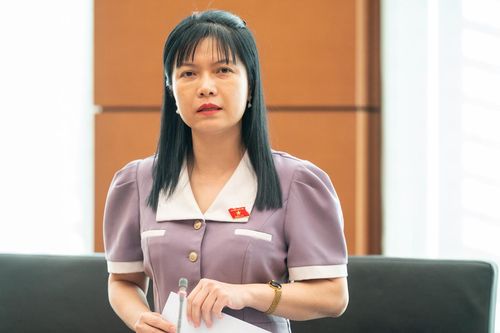 Đại biểu Quốc hội đề nghị siết tình trạng giữ đất chờ tăng giá