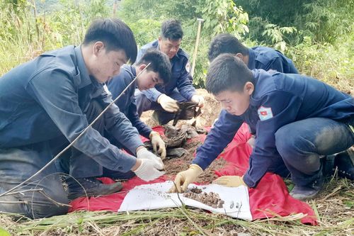 An Giang tìm kiếm và quy tập 331 hài cốt liệt sĩ