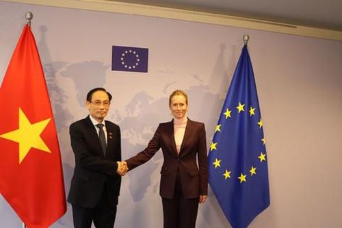 EU đánh giá cao vai trò, vị thế ngày càng tăng của Việt Nam