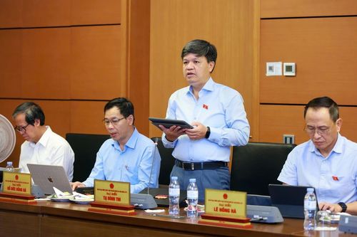Góp ý sửa đổi Luật Du lịch, Đại biểu Quốc hội đề nghị có cơ chế đầu tư ưu đãi cho du lịch biển đảo