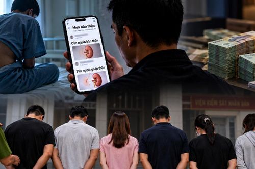 Từ người bán thận đến tổ chức đường dây môi giới