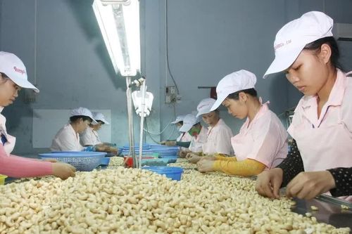 Tạo dựng vị thế trong chuỗi cung ứng sản phẩm Halal
