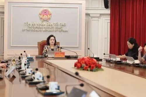 Tòa án nhân dân tối cao tập huấn trực tiếp sử dụng Nền tảng Quản lý án toàn trình