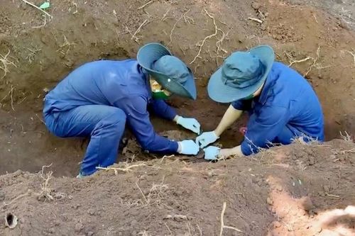 Tìm thấy hài cốt liệt sĩ Việt Nam cùng di vật Quân Giải phóng ở Lào