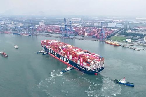 Tàu mẹ LNG YM WAYFINDER cập cảng TCIT, kết nối tuyến hàng hải Việt Nam - Bắc Mỹ