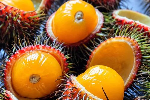 Thức quả miền núi rừng có vị chua ngọt lạ miệng, hút khách thành thị