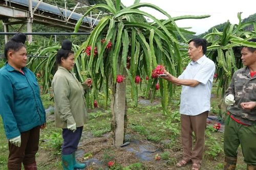 Hiệu quả từ đầu tư trường nghề ở vùng nông thôn Sơn La