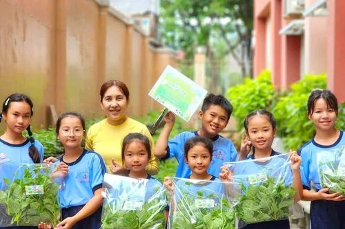 Giáo dục STEM không chạy theo phòng học, thiết bị